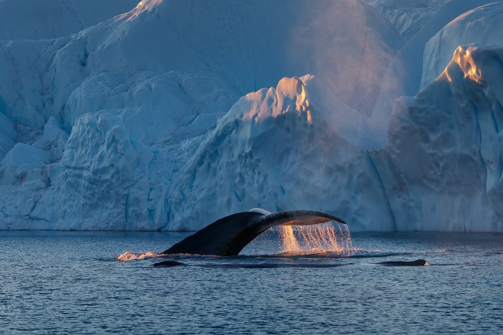 Photograph by Milan Chudoba