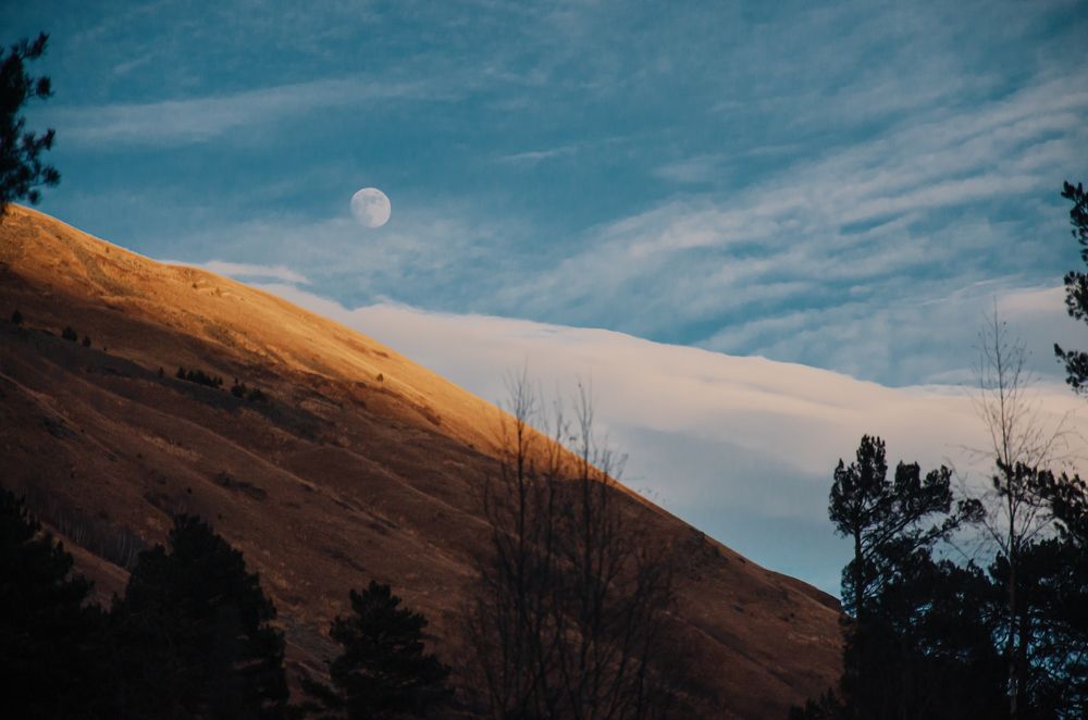 Фотография автора Яковлева Людмила