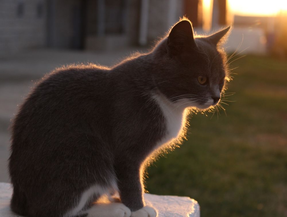 Photograph by Кристина Медведюк