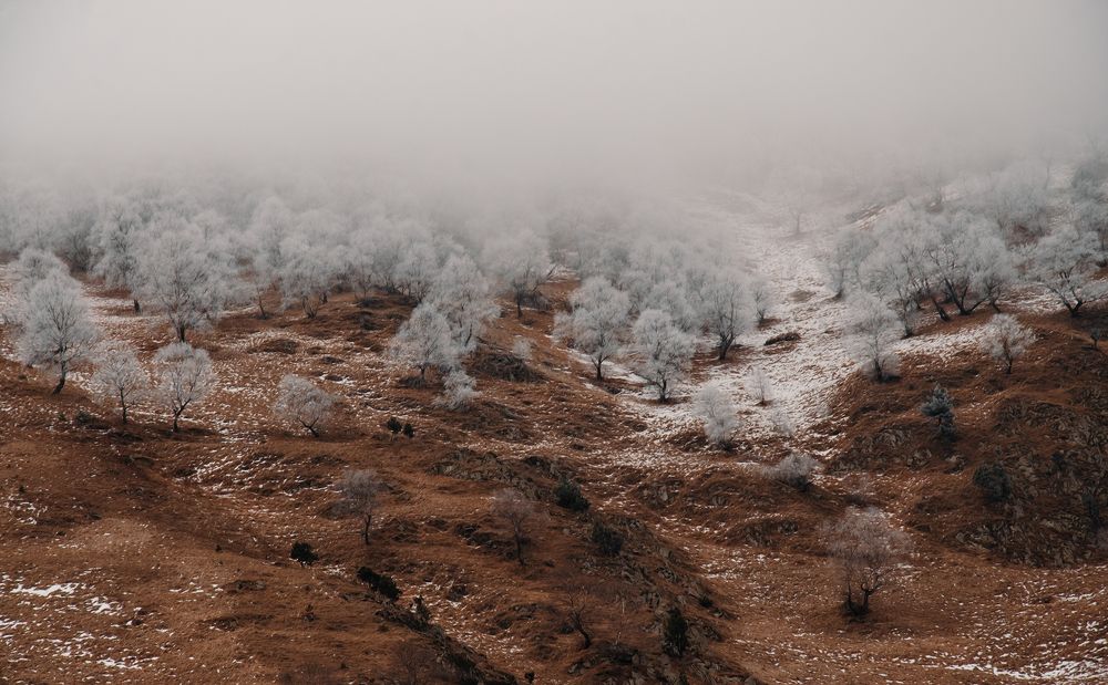 Фотография автора Яковлева Людмила
