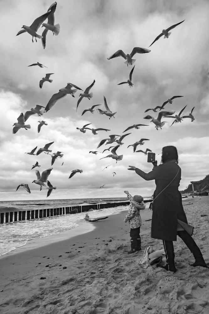 Фотография автора Виталий Новиков