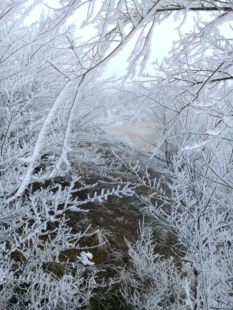 Фотография автора Наталья Алексеева