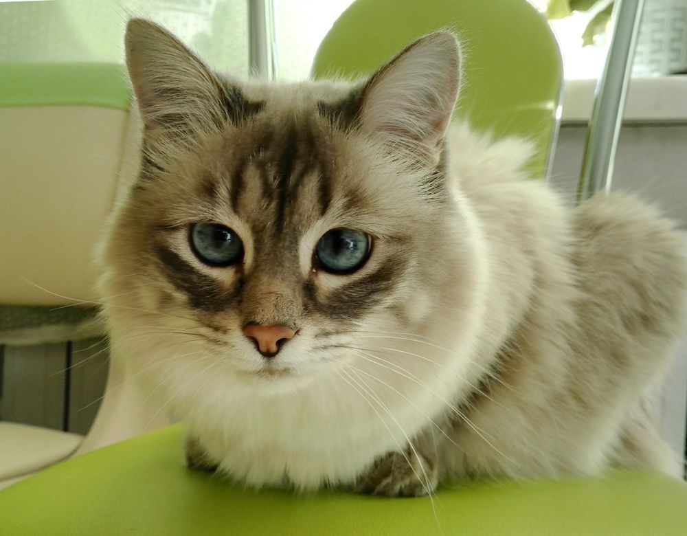 Photograph by Тамара Багровская