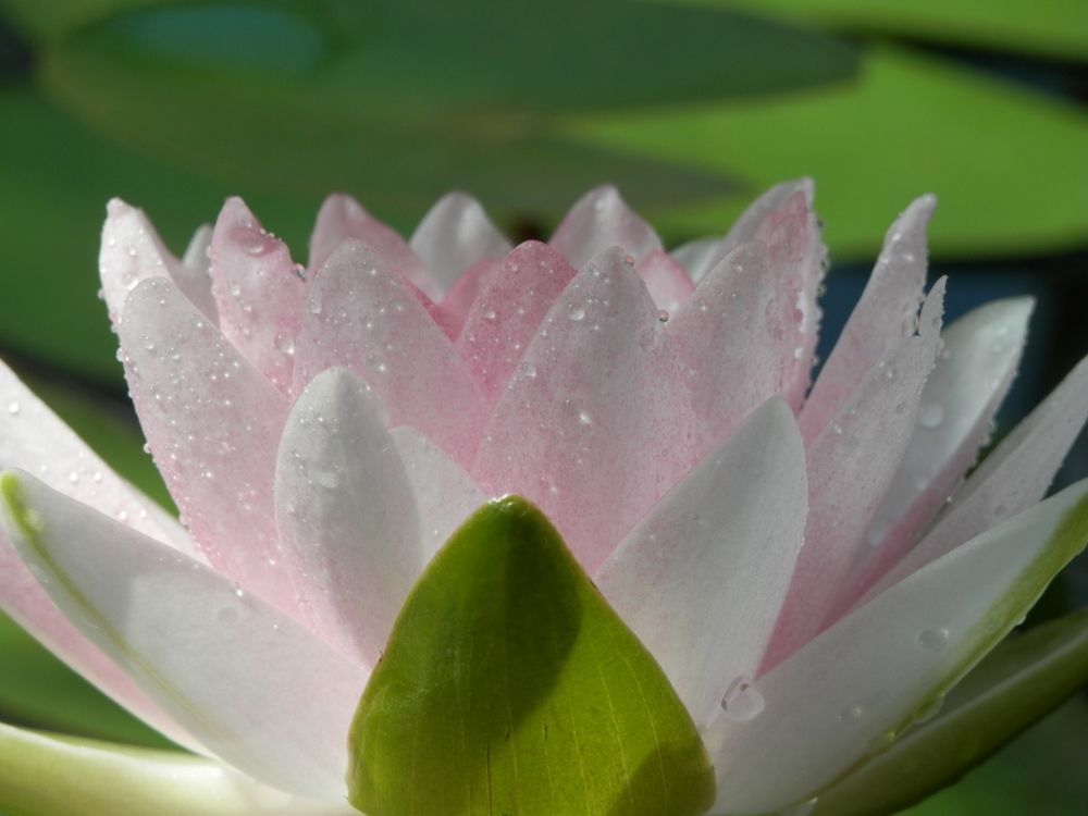 Photograph by Георгий Салюков