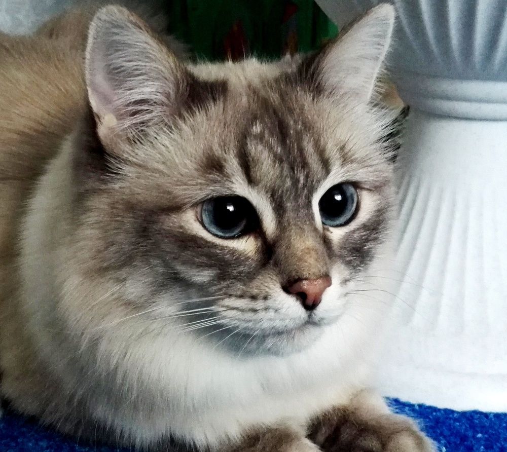 Photograph by Тамара Багровская