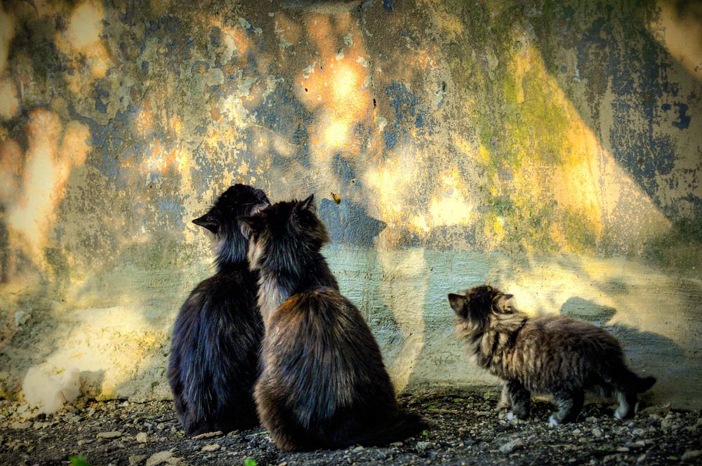 Фотография автора Ковяк Сергей Васильевич