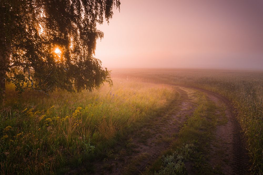 Photograph by Илья Толстоноженко