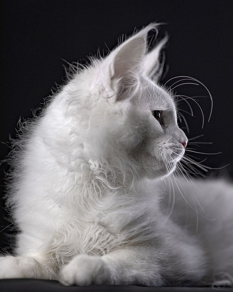 Photograph by Ольга Евграфова