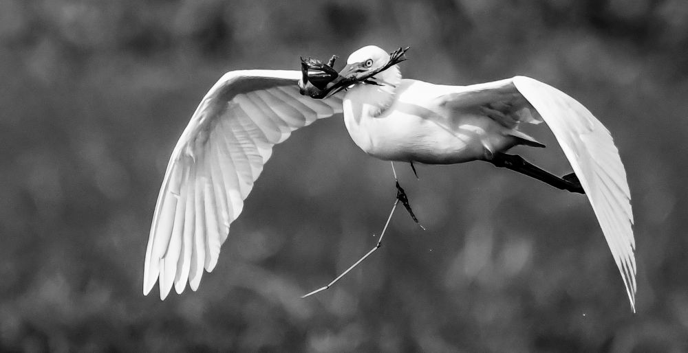 Photograph by Manoj Nair