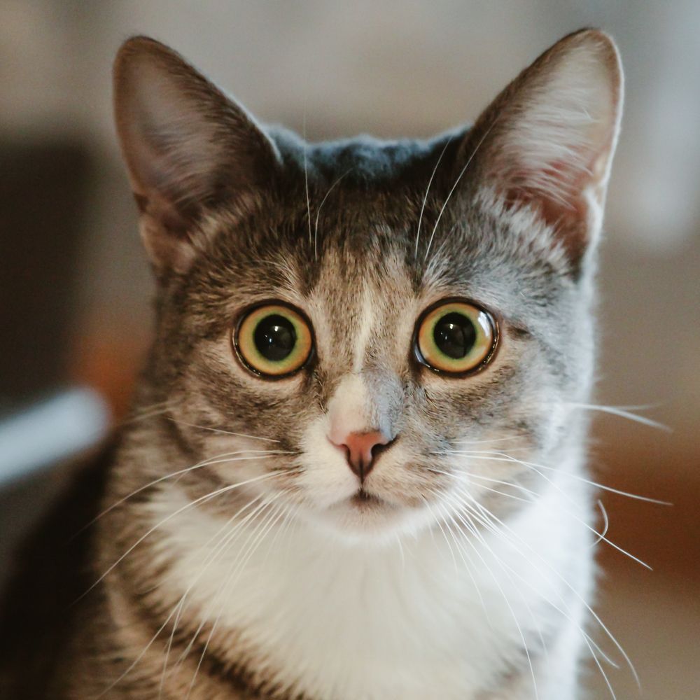 Photograph by Андрей Михайлин