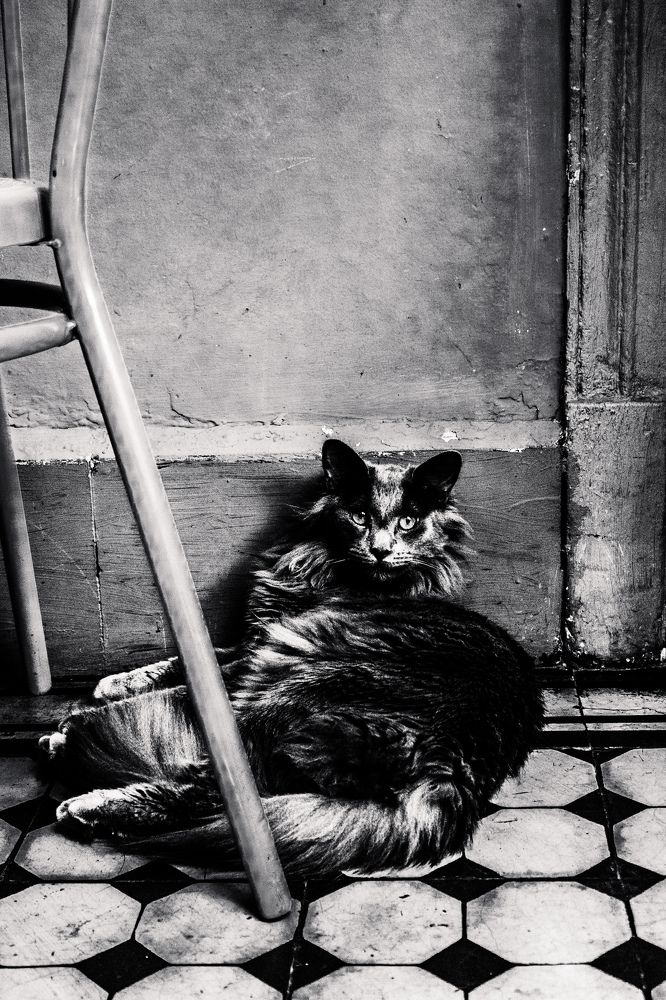 Photograph by Katherine Strauss