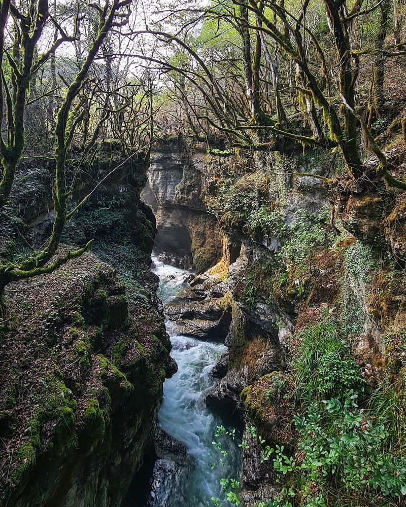 Photograph by Татьяна Соколовская