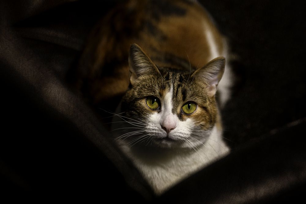 Photograph by Михаил Степанов