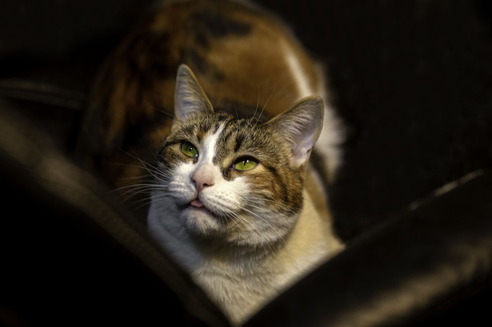 Photograph by Михаил Степанов