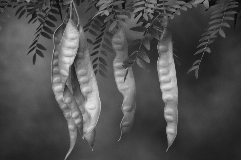 Photograph by Роман Ларшин