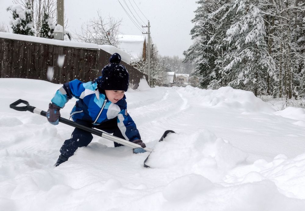 Фотография автора Ольга Лихтарь