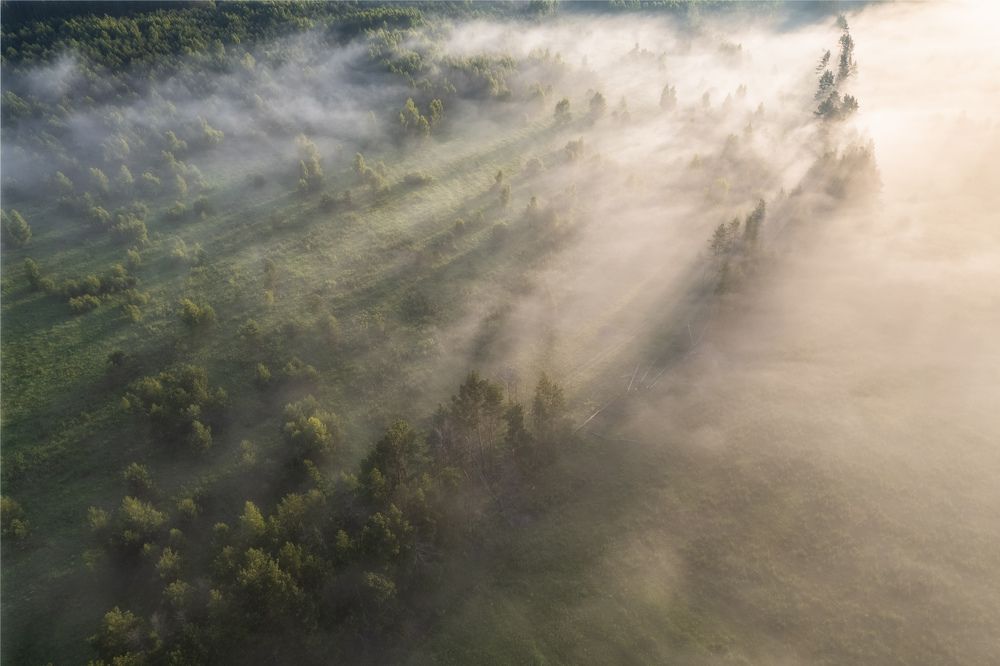 Photograph by Павел Трефилов