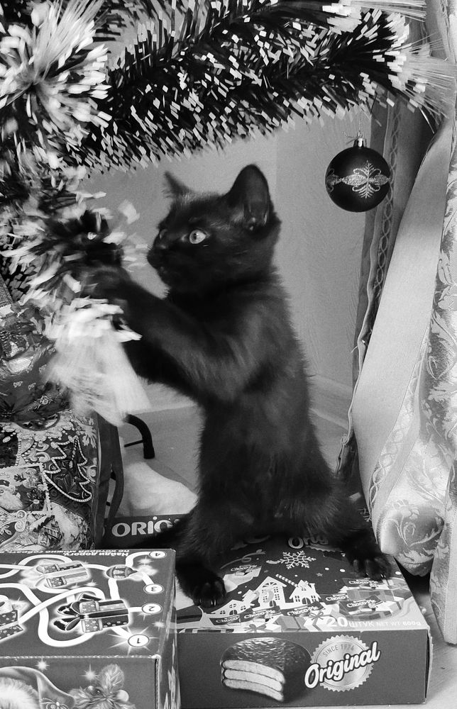 Photograph by Евгения