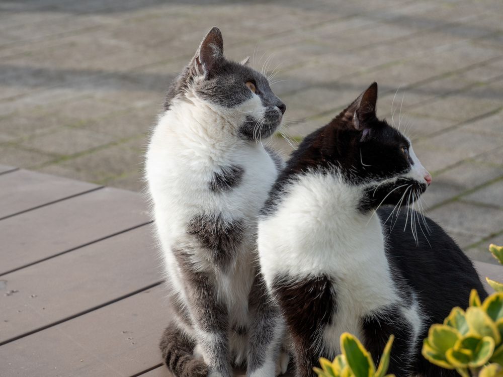 Photograph by Pucs Fongabe