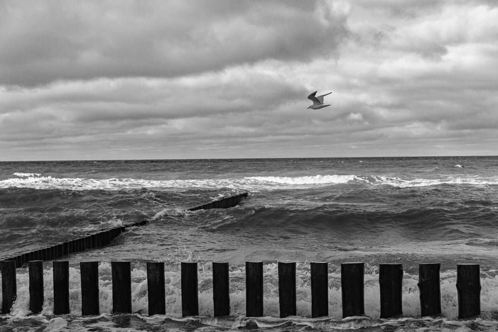 Фотография автора Виталий Новиков