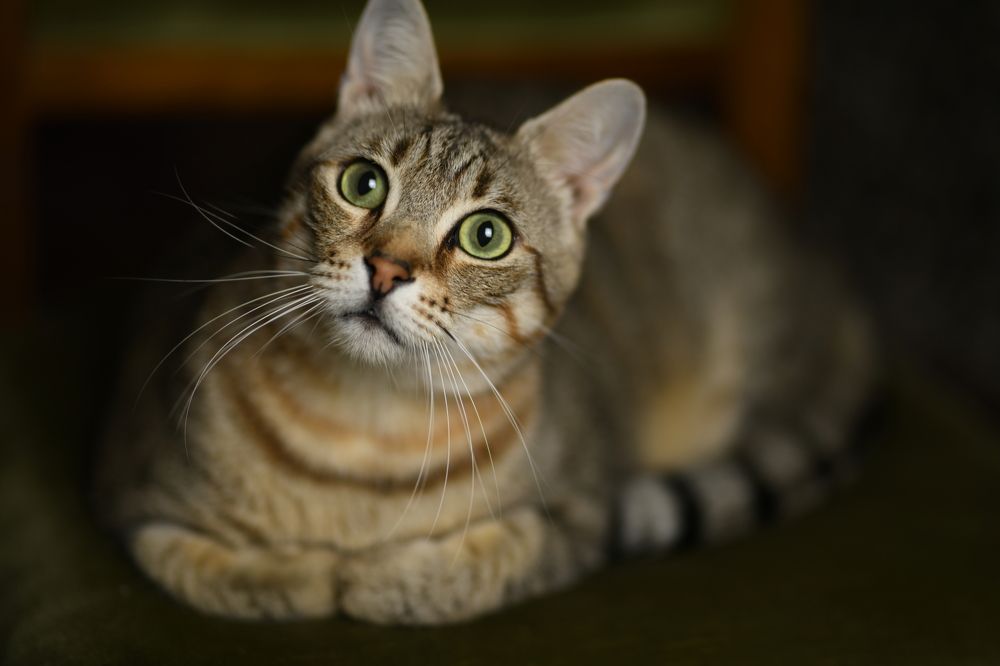 Photograph by Olena Lytvynenko