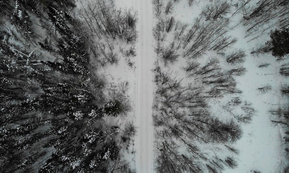 Photograph by Max_niksh