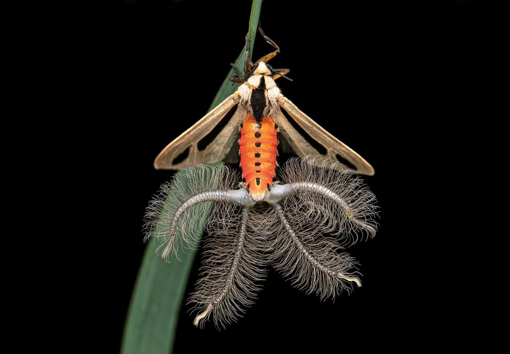 Photograph by ghaniya