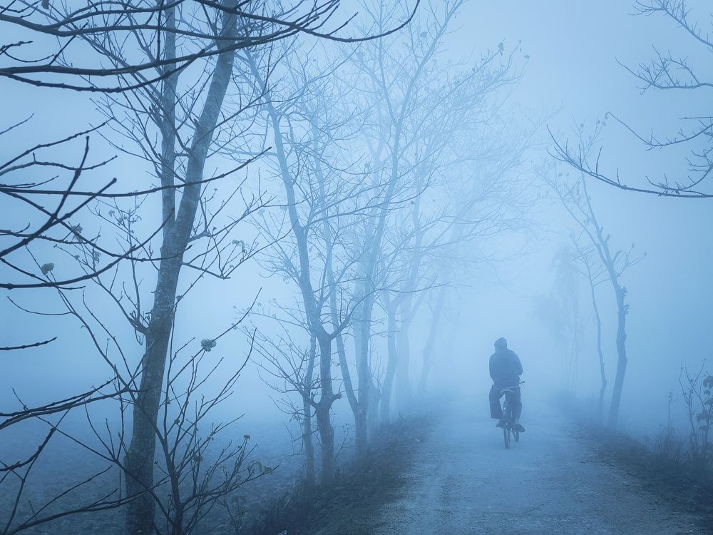 Фотография автора PRADIPTAMOY PAUL