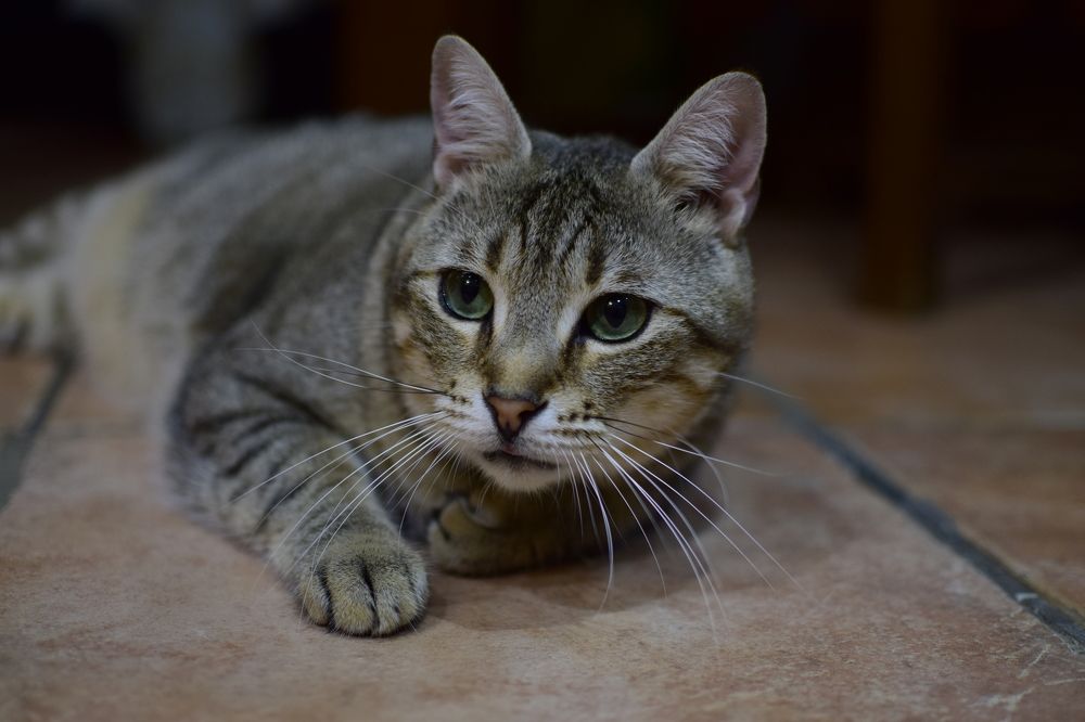 Photograph by Olena Lytvynenko