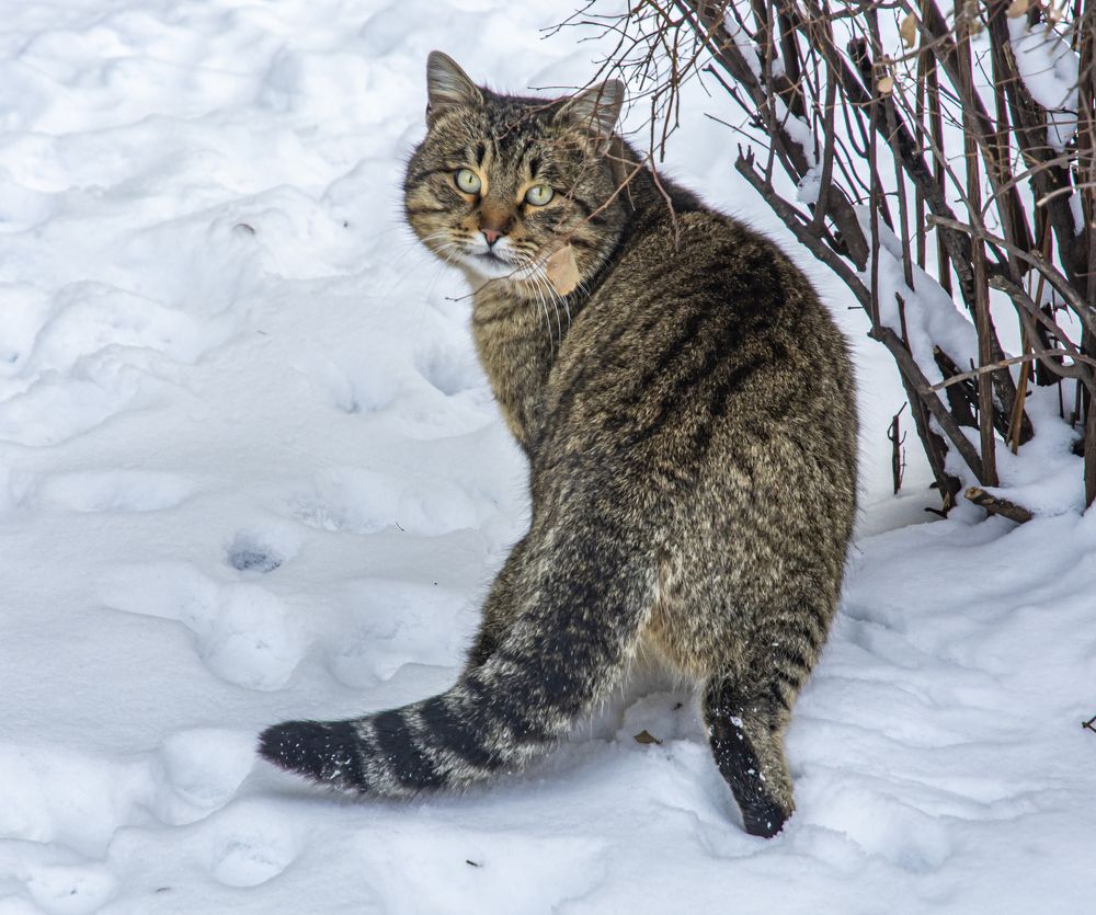 Photograph by Сергей Савчук