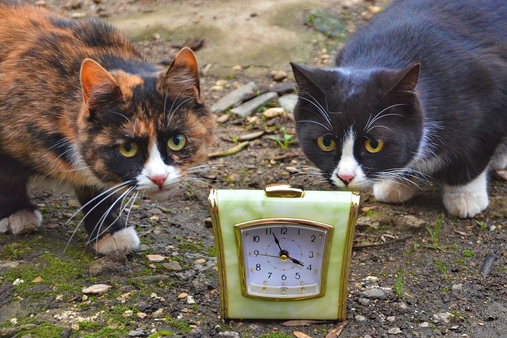 Photograph by Константин Мишнаевский