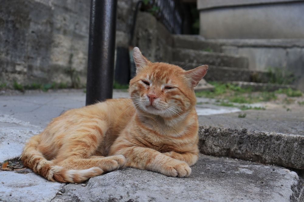 Photograph by Иван Скрипкин