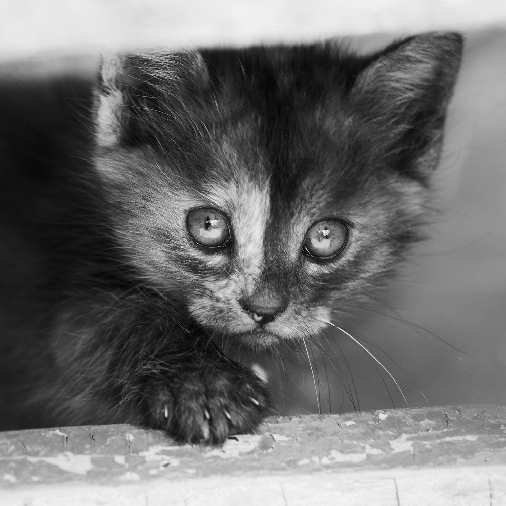 Photograph by Ирина