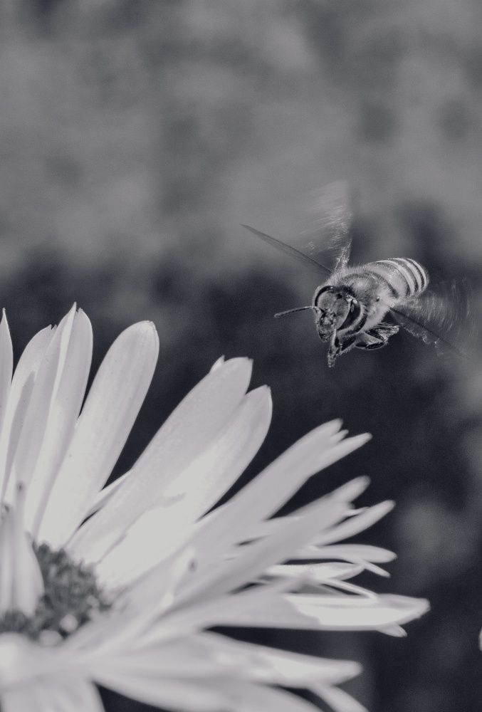 Preparing  to dive in..