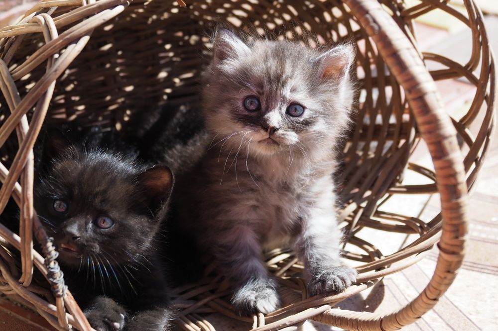 Photograph by Ирина