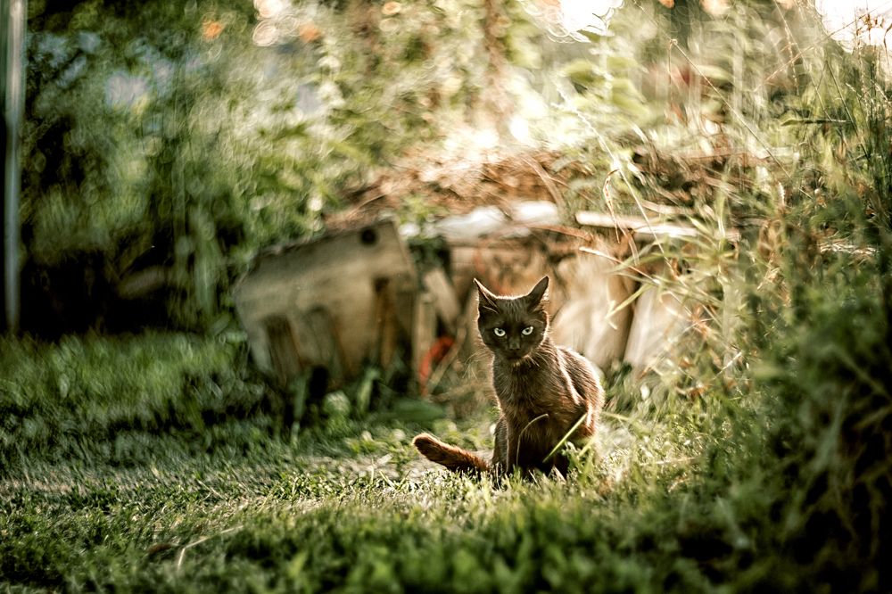 Photograph by Александр Соловьев