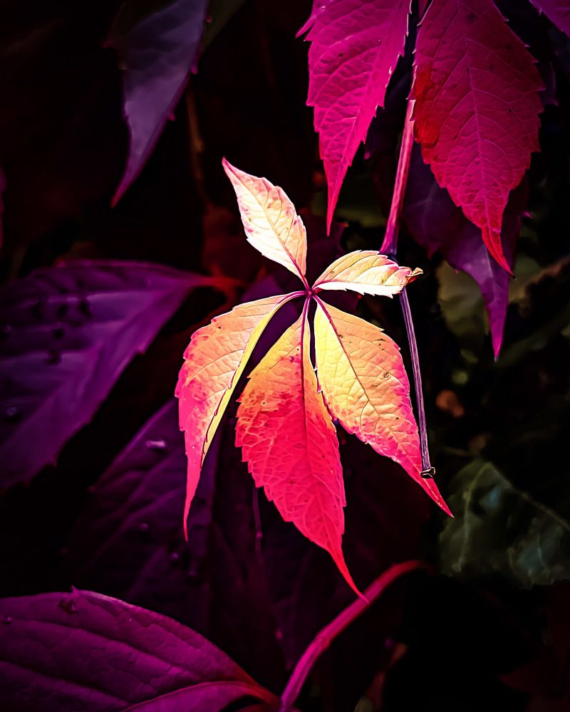 Photograph by Николай Яковлев