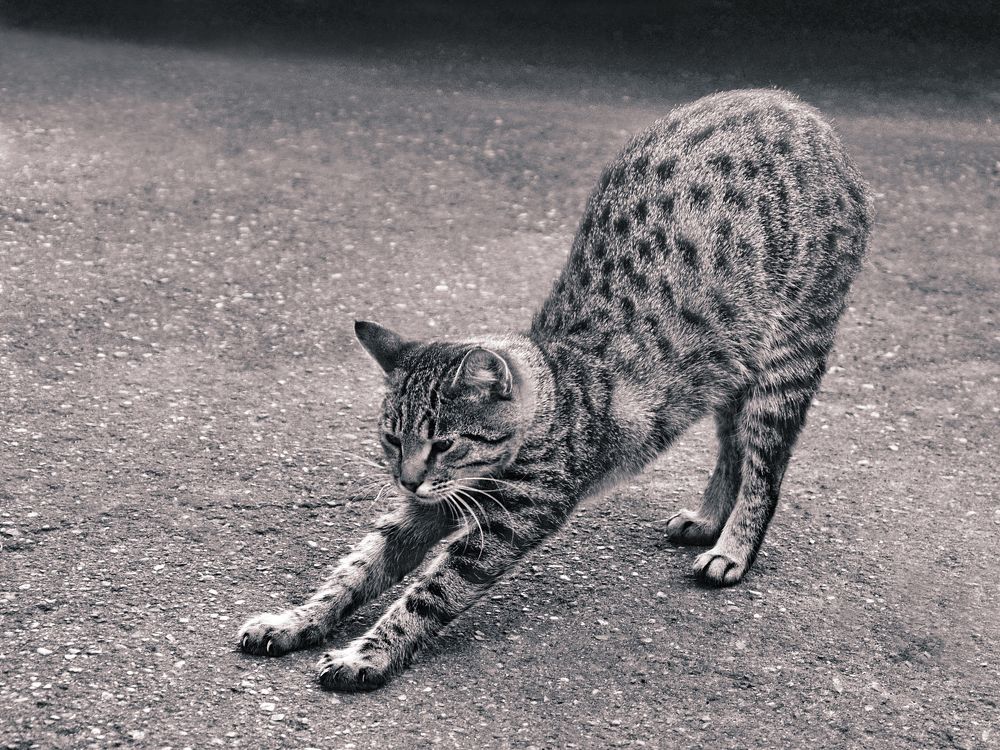 Photograph by Константин Мишнаевский