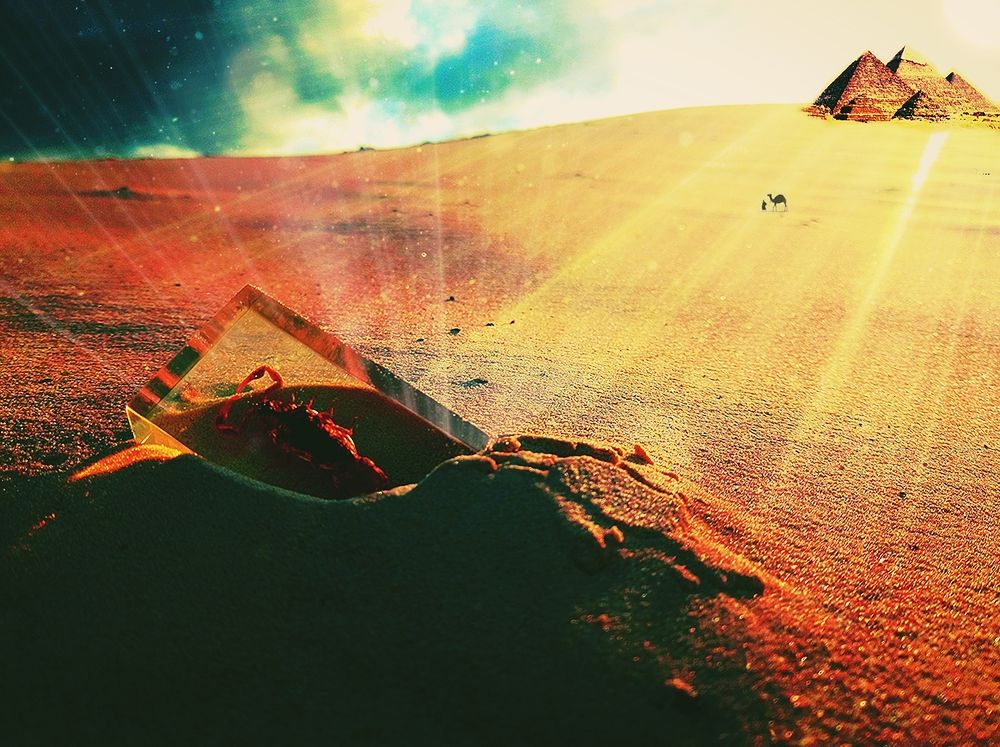Photograph by Александр Лабутин