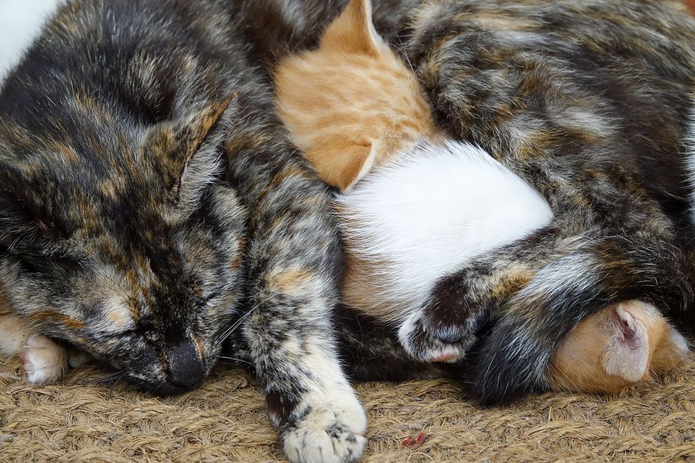 Photograph by Наталья Пирогова