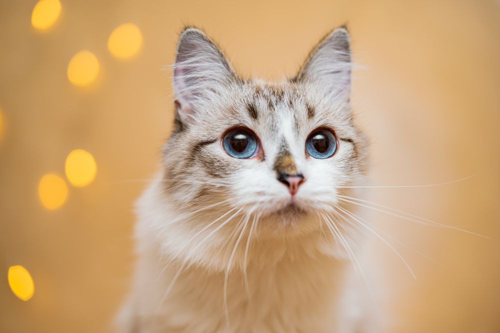 Photograph by Денис Дроздов