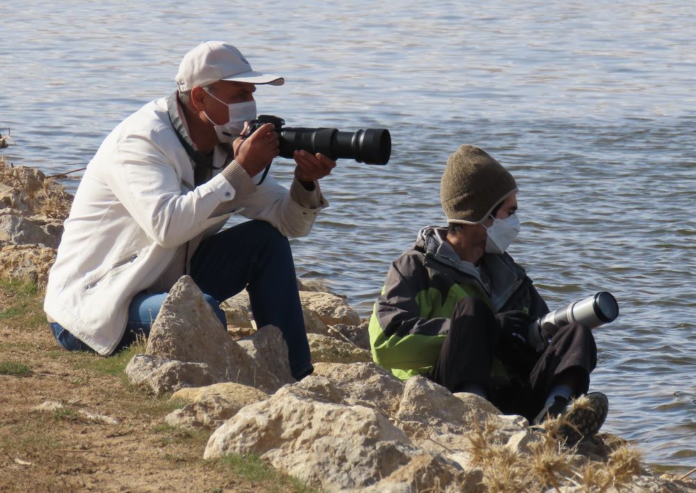 Photograph by mahboubeh moradalizadeh