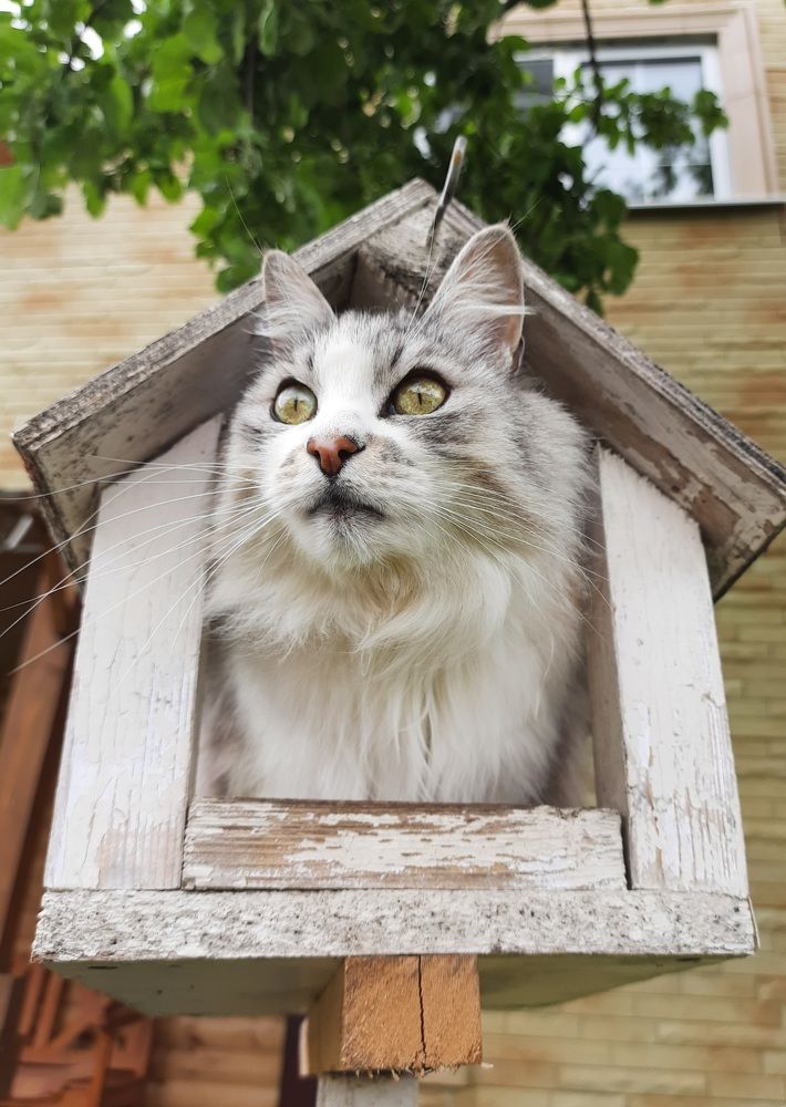 Photograph by Natalia Rassokhina