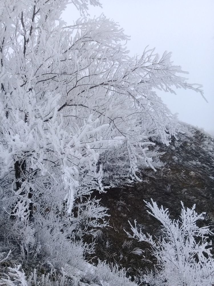 Фотография автора Наталья Алексеева