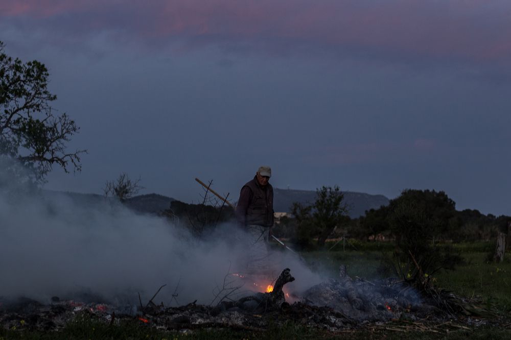 Photograph by Radoslav Bonev