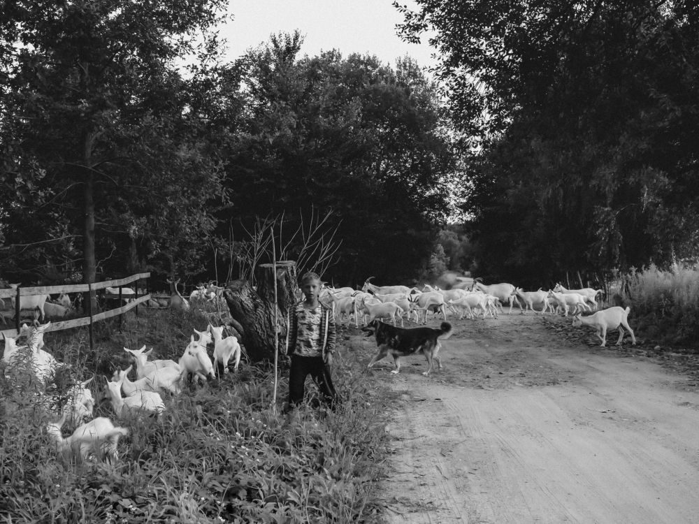 Photograph by андрей гусев