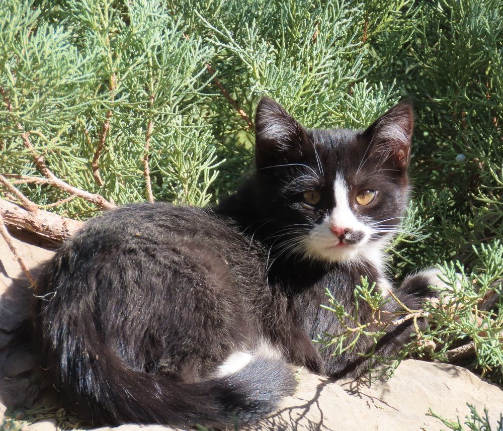 Photograph by mahboubeh moradalizadeh