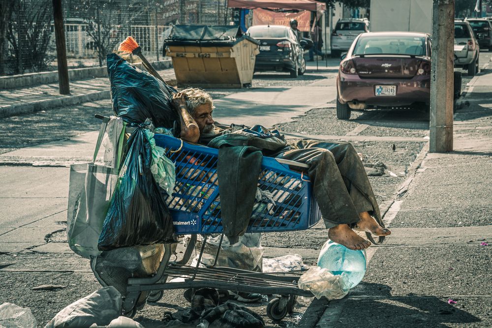 Living in a supermarket cart