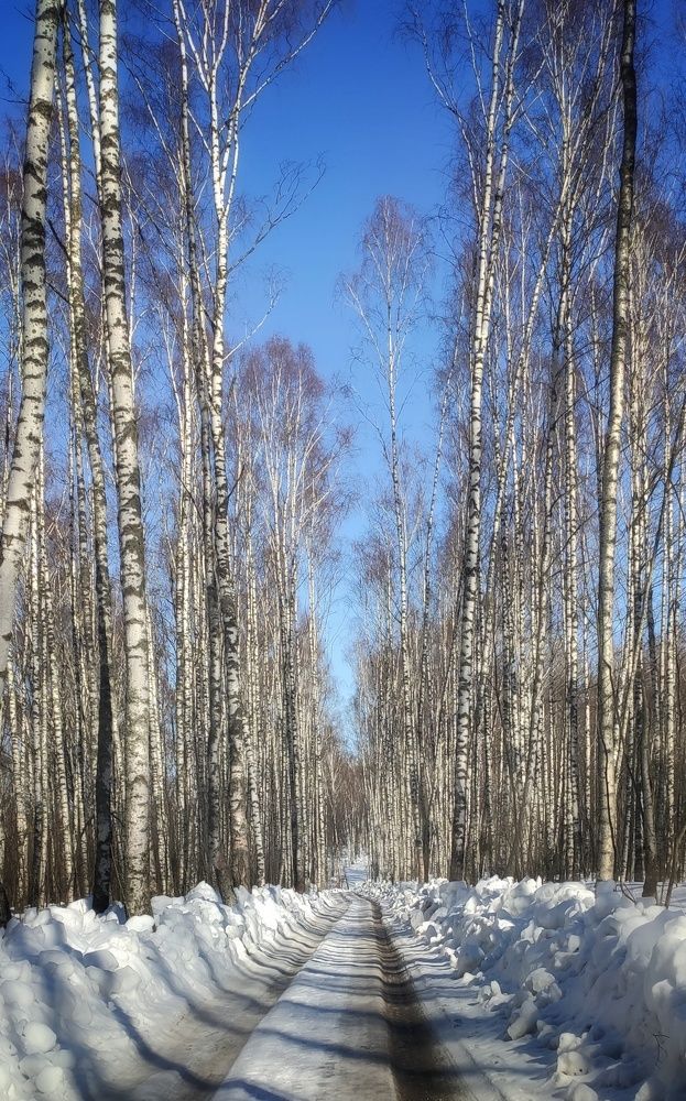 Photograph by Надежда