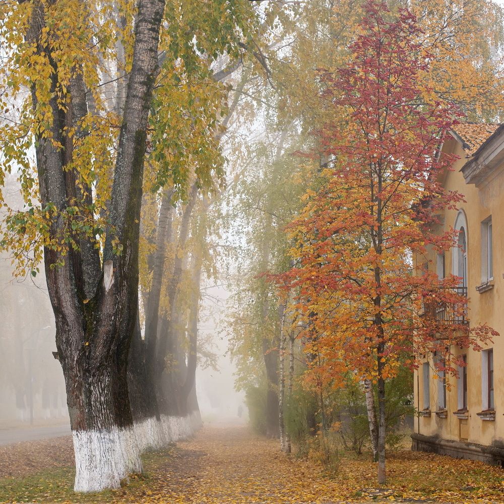 Photograph by Алексей Шехонин